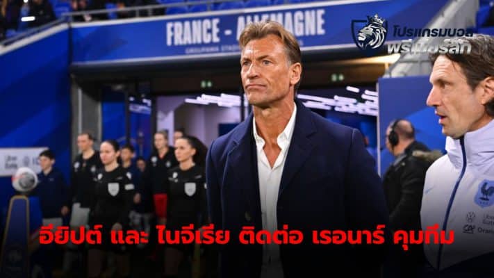 Egypt and Nigeria have offered Hergwe Renard the position of manager of their national teams.